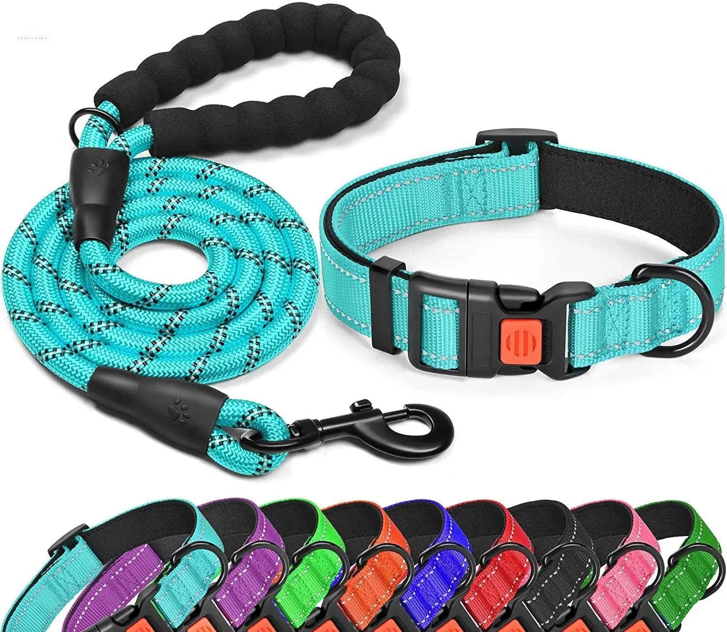 Dog Collar Leash set Traction Rope With Adjustable Reflective Nylon Do –  Brainy Tails